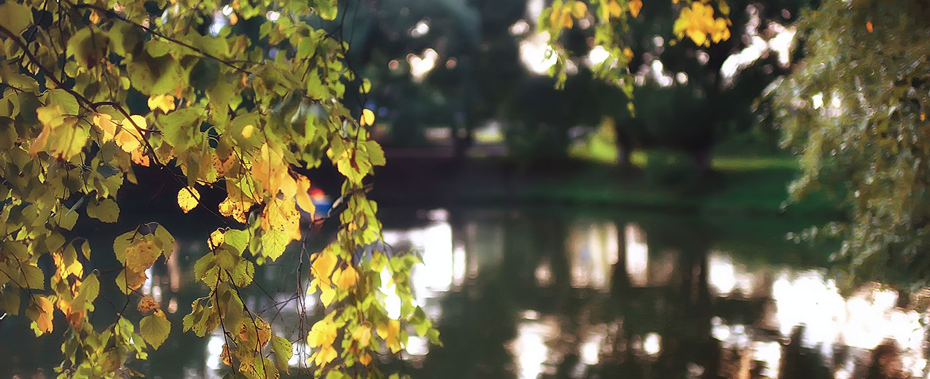 Bharat Kund & Light & Sound Show